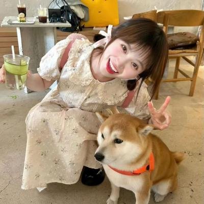 母猫